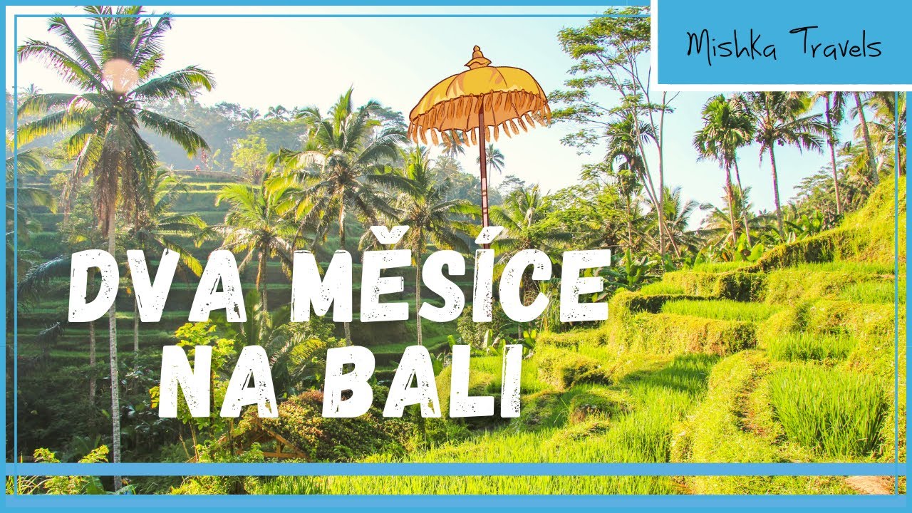 BALI: Delfíni, opice a rýžová pole