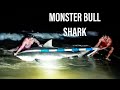 Biggest Landbased Bull Shark Ever