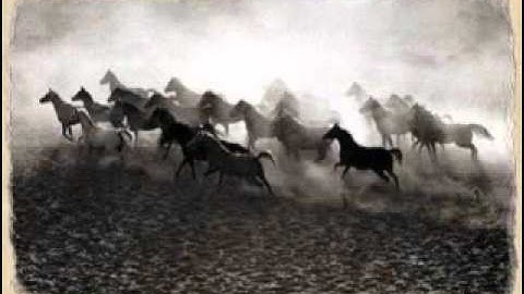 ياسر الدوسري - سورة العاديات كامله