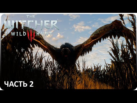 БЕСТИЯ ИЗ БЕЛОГО САДА ► The Witcher 3 Wild Hunt #2