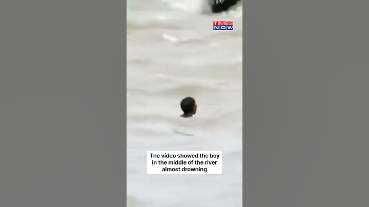 SDRF Team Rescued Boy From Drowning In River Filled With Crocodiles