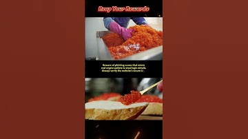 Crypto Wallet Security Essentials: Building a Solid Foundation for Your Digital Assets (pt 6)