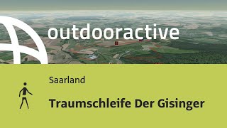 Wanderung Im Saarland Traumschleife Der Gisinger