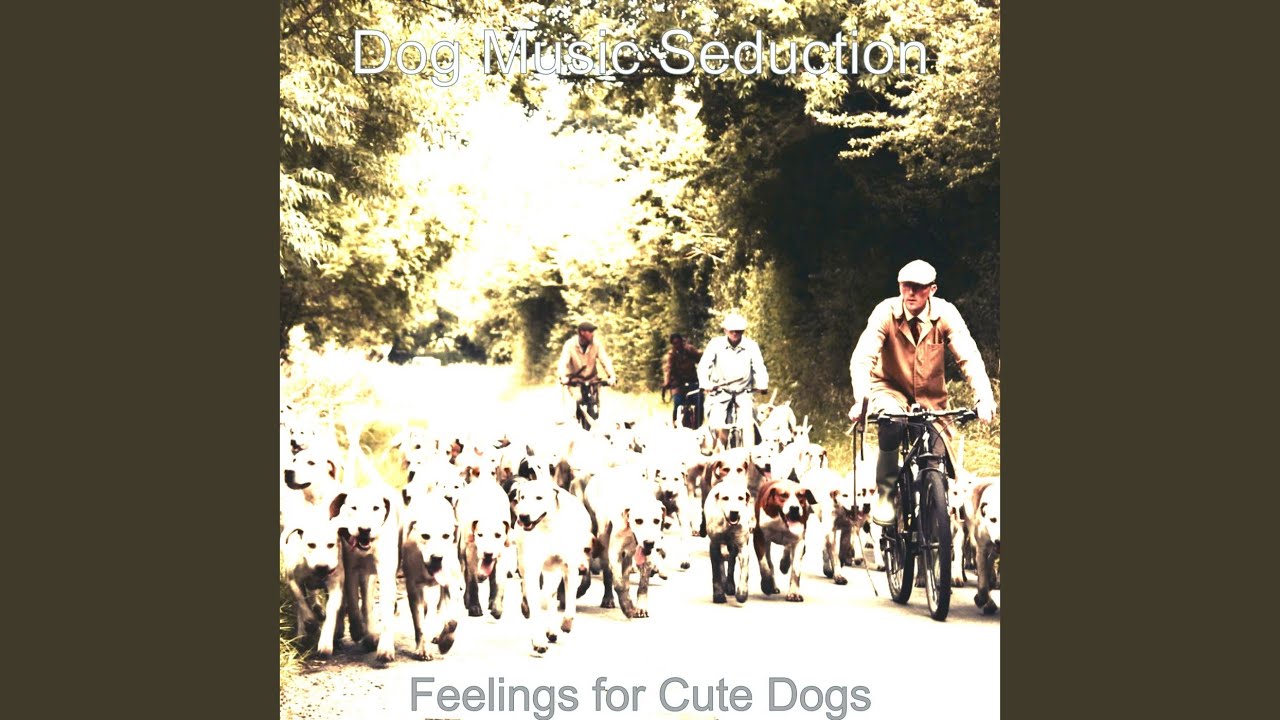 Exquisite Moods for Resting Dogs