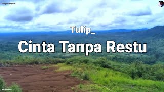 Tulip    Cinta Tanpa Restu    S Lagu  Raquestrq San