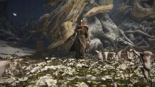 Elden Ring Malenia Intro