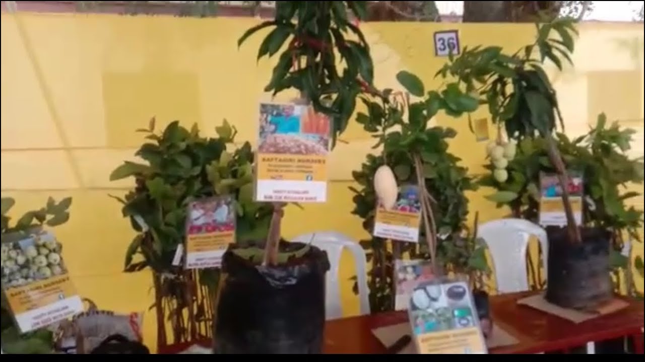 Vijayawada plants Expo in Sidhartha School From 6th January to 8th