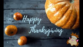2AHD Cat Thanksgiving Special 2022
