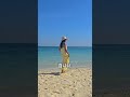 10월3일∼12일 스트레이트 연휴 될까?