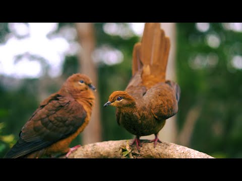 Alex Somers - Sleeps