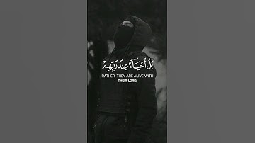 ولا_تحسبن_الذين_قتلوا_فى_سبيل_الله_أمواتا🌿سورة_آل_عمران🌿القارئ_شريف_مصطفى_🌿(1080p)