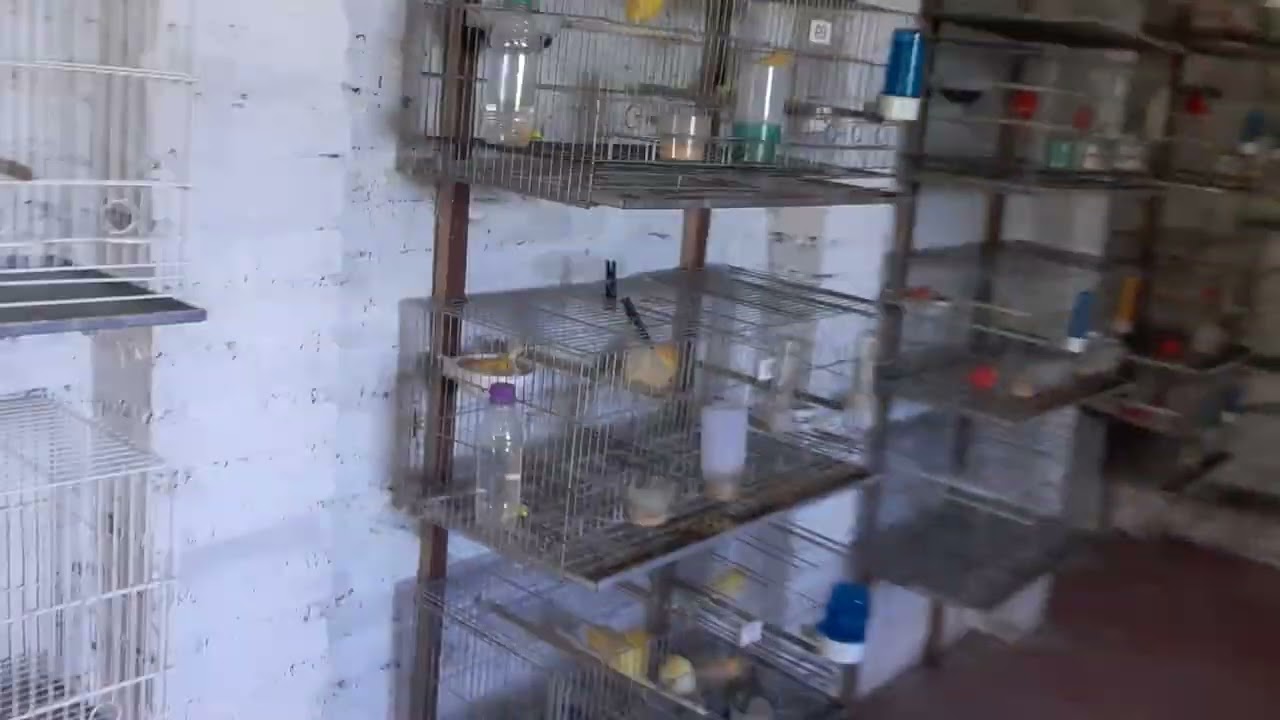 Visão geral no primeiro domingo de janeiro 2026!!