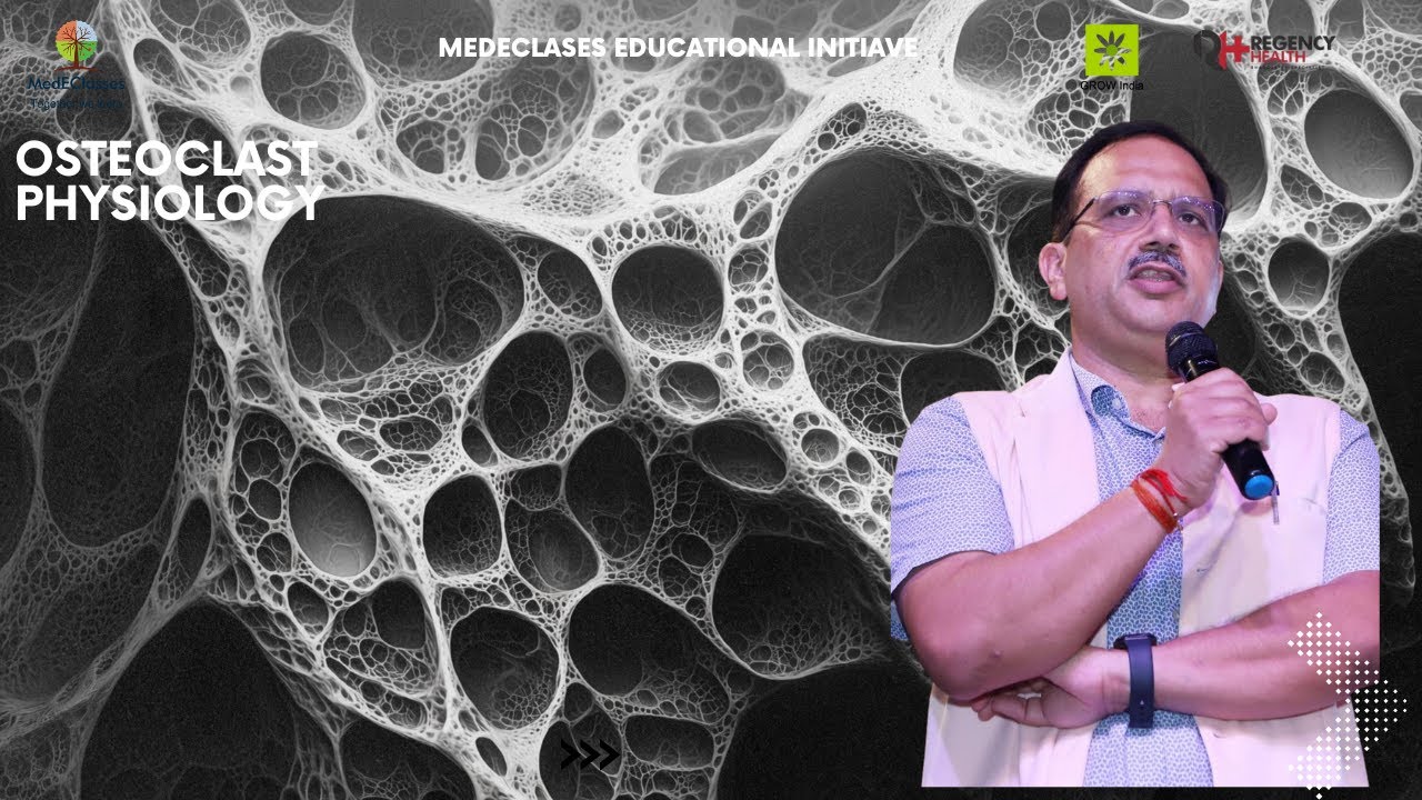 Физиология остеокластов: что, почему и как — расшифровка резорбции костной ткани