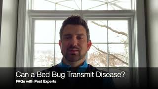 Can a Bed Bug Transmit Disease? | Syracuse Pest Experts