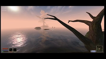 Morrowind (OpenMW) Test Capture