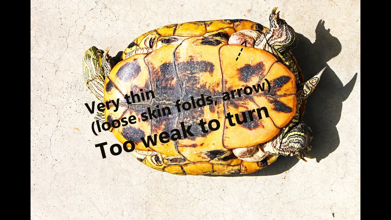 When Do Red Post Boxes Get Collected When Do Red Post Boxes Get Collected