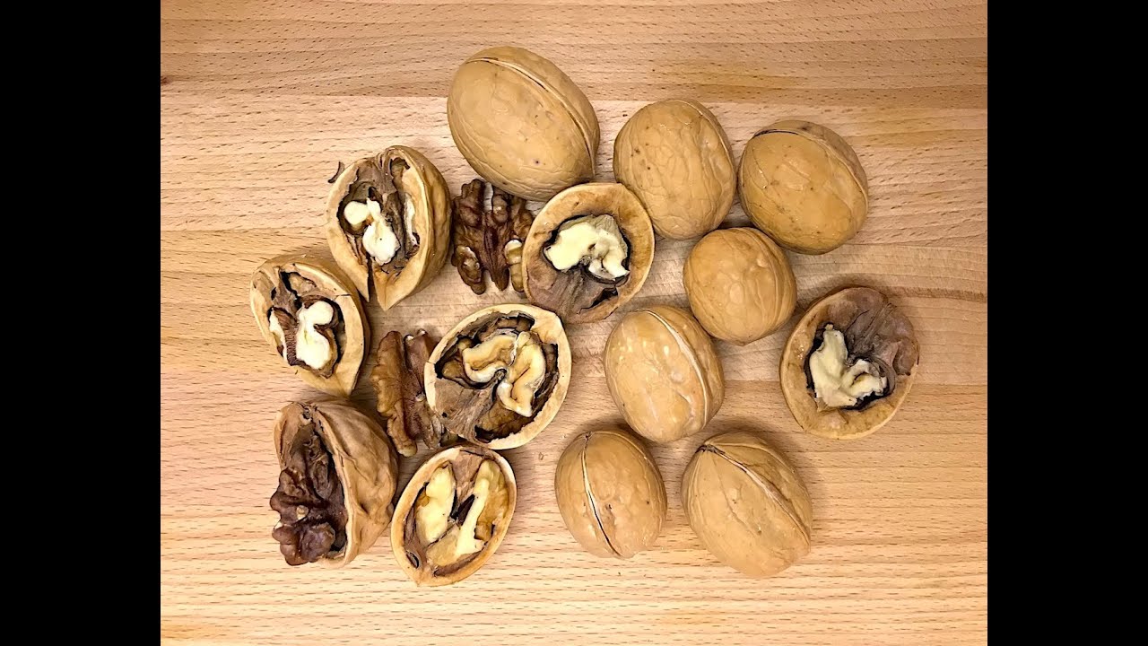 Грецкий орех в скорлупе Чилийский, крупный сладкий орех 1 кг