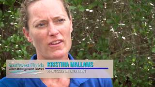 Weeki Wachee Saltwater Intrusion Monitoring Well