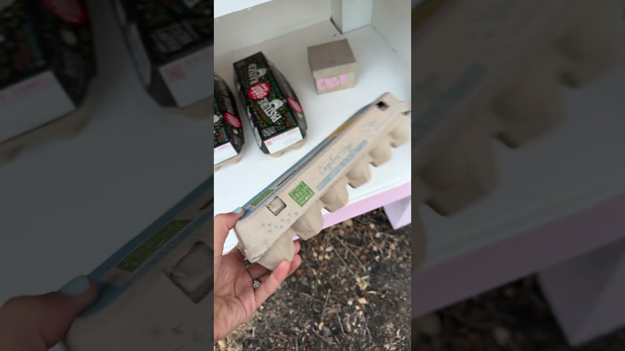 Egg stand is open for Business! 