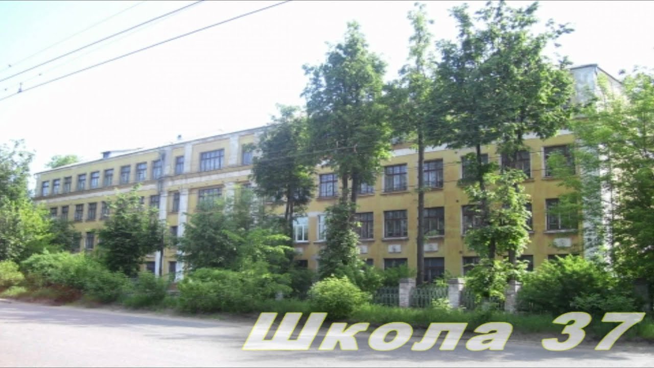 Фаркоп 37 иваново