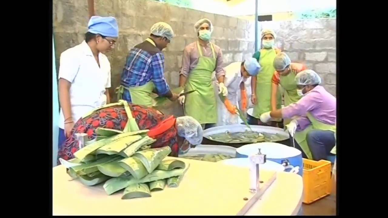 Aloe Vera Processing Plant and Machinery By Renpha Syscon Private Limited, Navi Mumbai