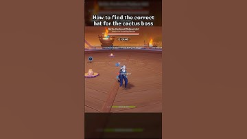 HOW TO FIND THE CORRECT HAT FOR THE CACTUS BOSS