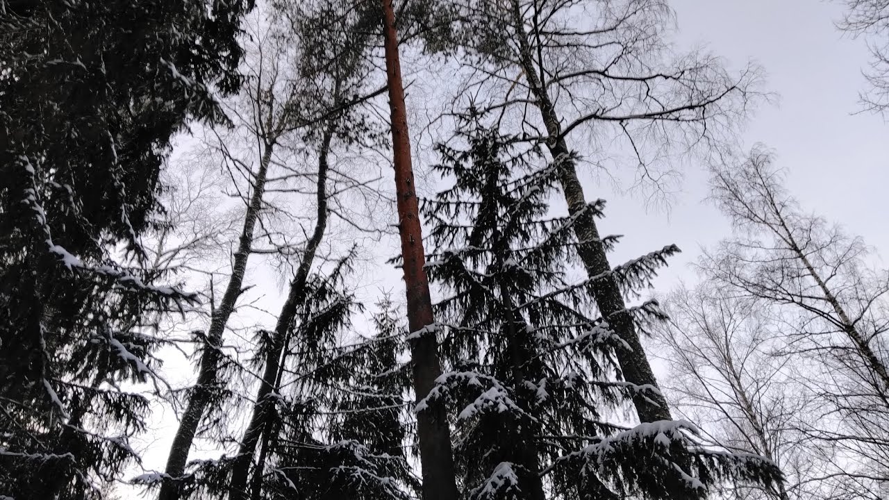 Козероги МЫ!