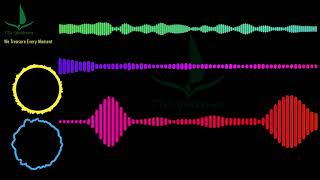 Rob Gasser - Hollow #RobGasser #Hollow Lyrics (ft Veronica Bravo)#Lyrics #VeronicaBravo #TTASpectrum