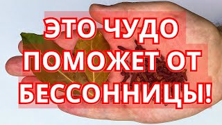 ХАЛЯЛЬНЫЙ ЧУДО НАПИТОК ПОМОЖЕТ ВАМ ОТ БЕССОННИЦИ! ИН ША АЛЛАХ!