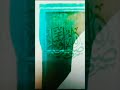 Altaf Alam 17 #Islamic content