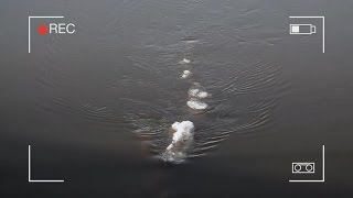 American Loch Ness Monster Video Going Viral | Doovi