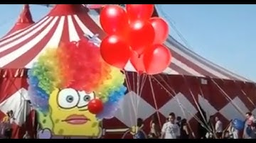 random videos i have saved on my phone without context#2