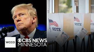 Minnesota Secretary of State vows to fight Trump's efforts to ban mail-in voting | Talking Points