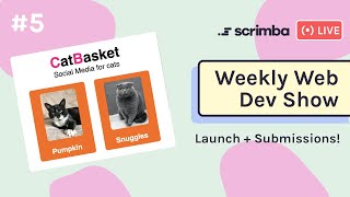 The Weekly Web Dev Show: CatBasket | HTML, CSS, JavaScript