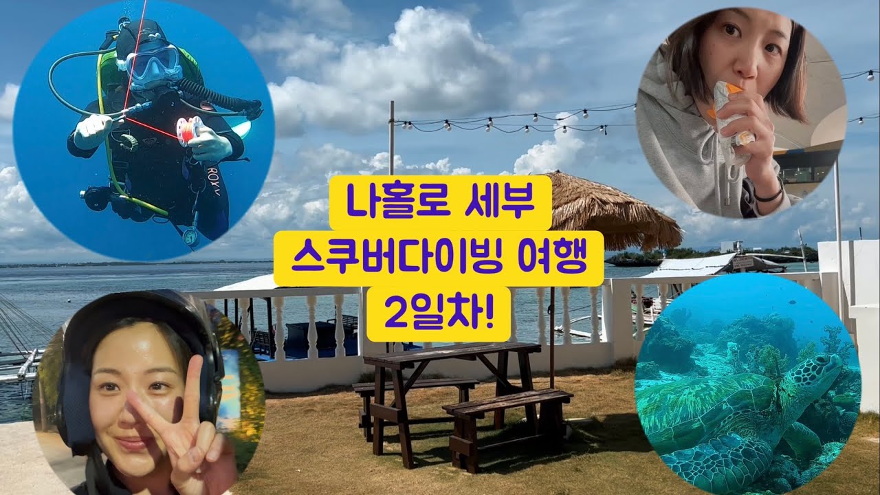 [필리핀 🇵🇭] 나홀로 세부! 스쿠버다이빙 ! 알찬 2박 여행 2일차