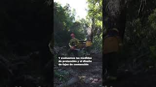 📍 PARQUE NACIONAL LOS ALERCES➡️ En el marco del incendio forestal en el Parque Nacional Los Alerces,