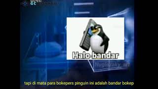 pinguin bandar bokep