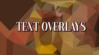 🌲•||•Text overlays for beautiful edits•||•Teddy's Creations•||•🌿 screenshot 1