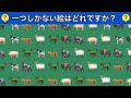 【9分脳トレ傑作選！】1日2回更新！間違い探しや仲間はずれ問題で脳を鍛えよう！！！　結構難しいですが、頑張ってくださいね！！