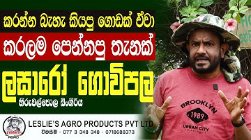 We’re About to Introduce Something Big | Lazaro Farm Reveal 