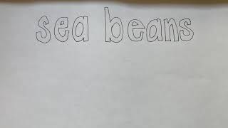 Sea Beans