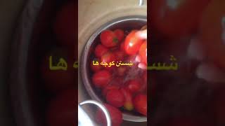 طرز تهيه رب گوجه فرنگي خانگي#رب گوجه#domates salçasi#homemade tomatopaste #elmiraمعجون الطماطهelmira