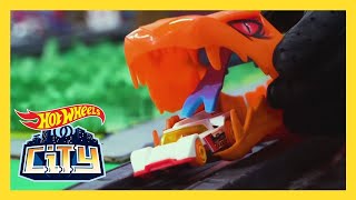 BEST Moments from New News  | New News | @HotWheels