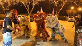 Young Pride Lion Dance Team - Chez Beignet