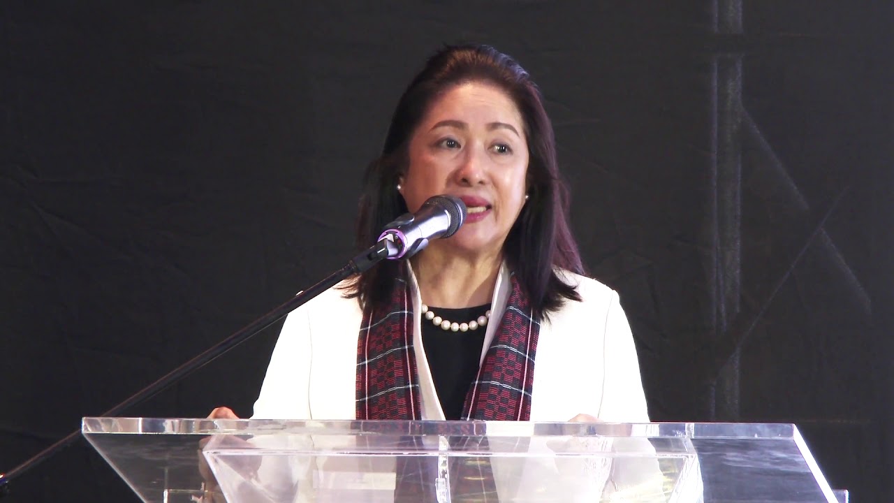 DOST-PTRI A Tela Story 2019 "PTRI Phil. Tropical Fabrics v2.0 presentation with Dir. Celia B. Elumba