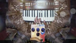 Casiotone 701 into Mattoverse Swell Delay