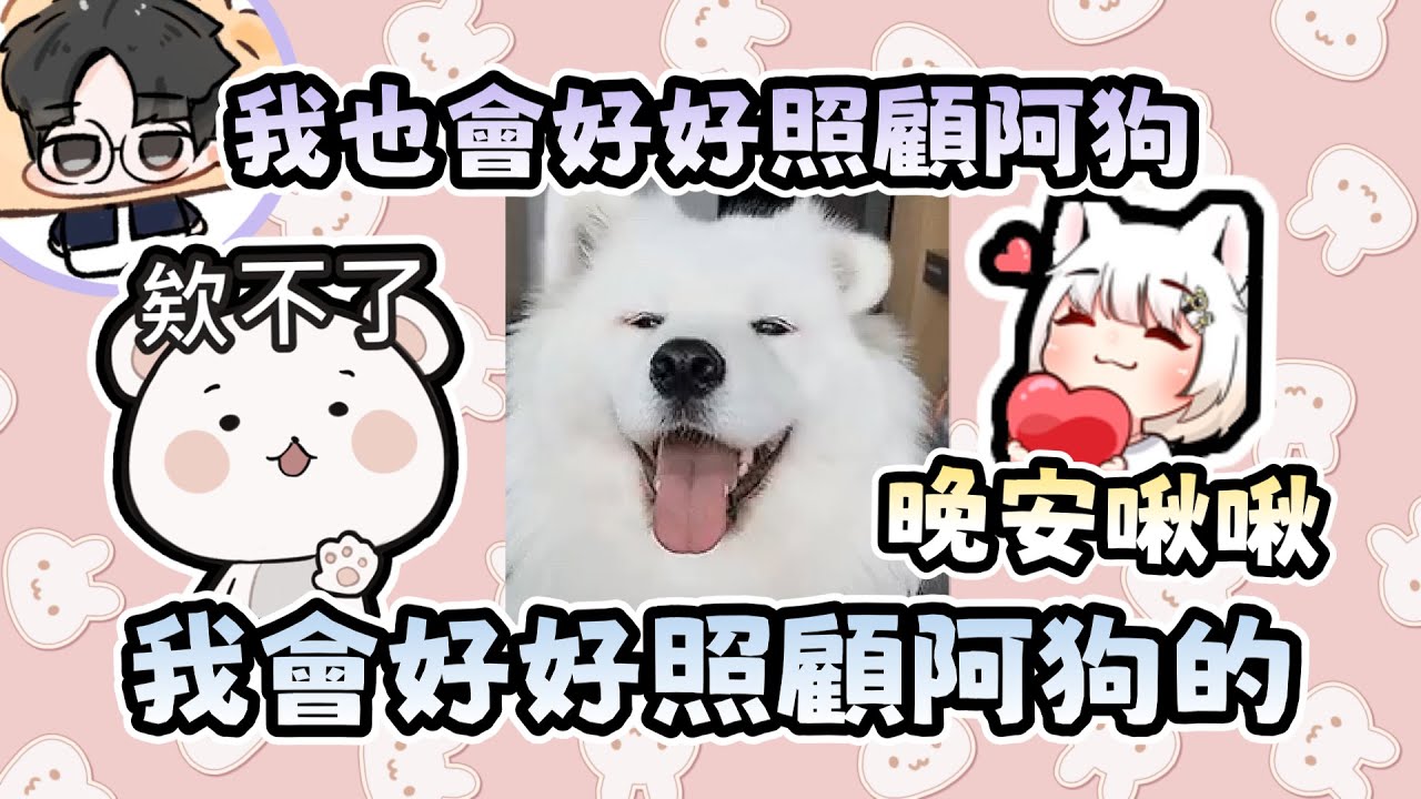 【SamoAgo精華】晚安啾啾😚但是勝敗欸不了   ft. ShizuNara、勝敗難免