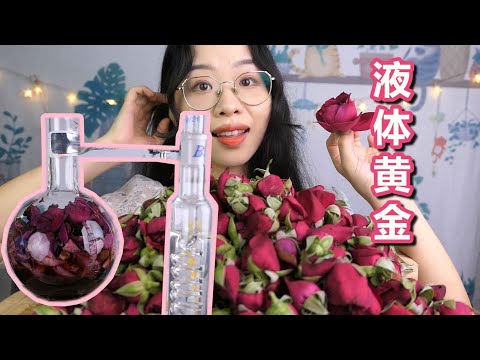 用上千朵玫瑰提炼出了液体黄金：玫瑰精油！How to extract rose essential oil with thousands of roses！