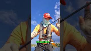 CHAIN Pickerel with RAZOR TEETH Caught in Lake Fred!