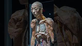 Trung Quốc Hậu Trường